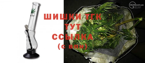 ПСИЛОЦИБИНОВЫЕ ГРИБЫ Бородино