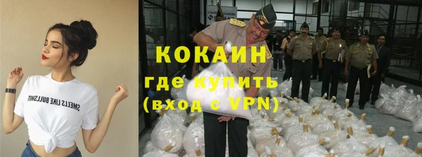 ПСИЛОЦИБИНОВЫЕ ГРИБЫ Бородино