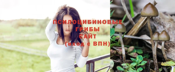 прущие крисы Бугульма