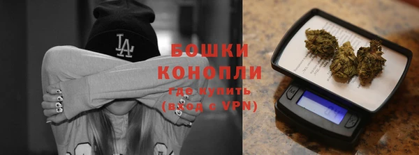 ПСИЛОЦИБИНОВЫЕ ГРИБЫ Бородино