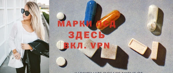 ПСИЛОЦИБИНОВЫЕ ГРИБЫ Бородино