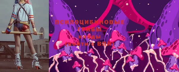 ПСИЛОЦИБИНОВЫЕ ГРИБЫ Бородино