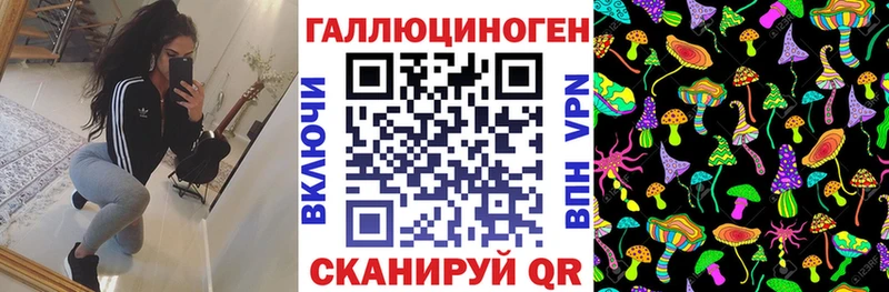 kraken tor  Зима  Псилоцибиновые грибы MAGIC MUSHROOMS 